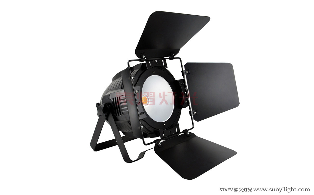 The-Netherlands200W COB LED Par Light