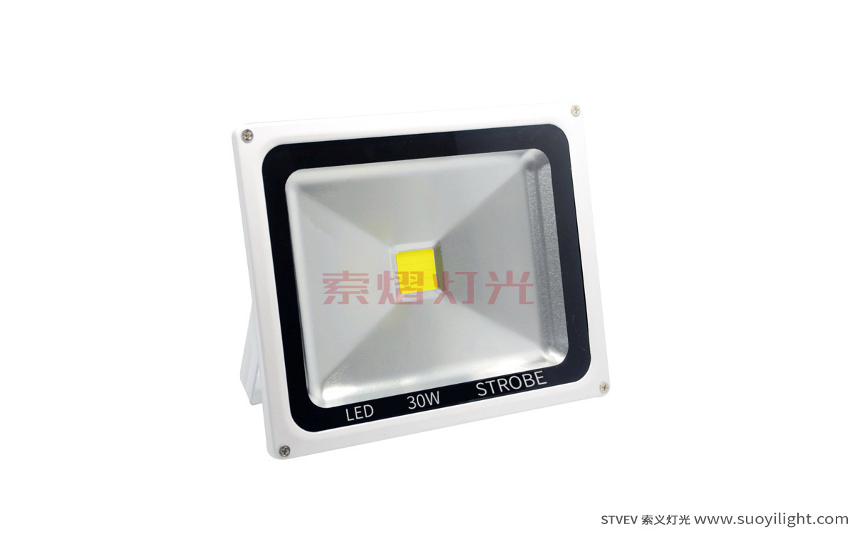 The-Netherlands30W LED Strobe Light