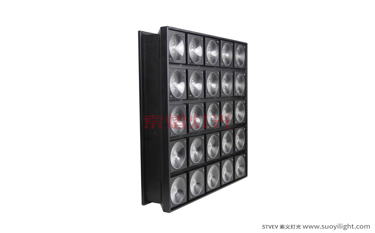 The-Netherlands25 Head LED Matrix Light