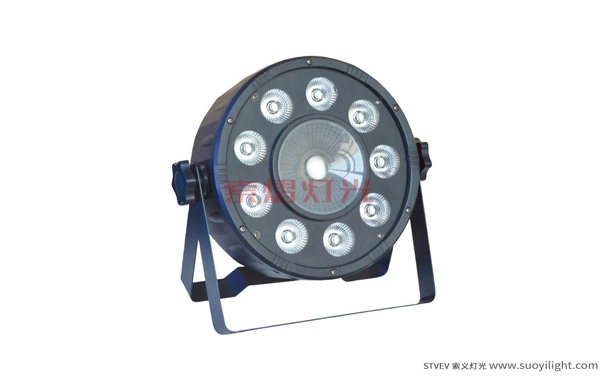 The-Netherlands9+1 LED Plastic Par Light