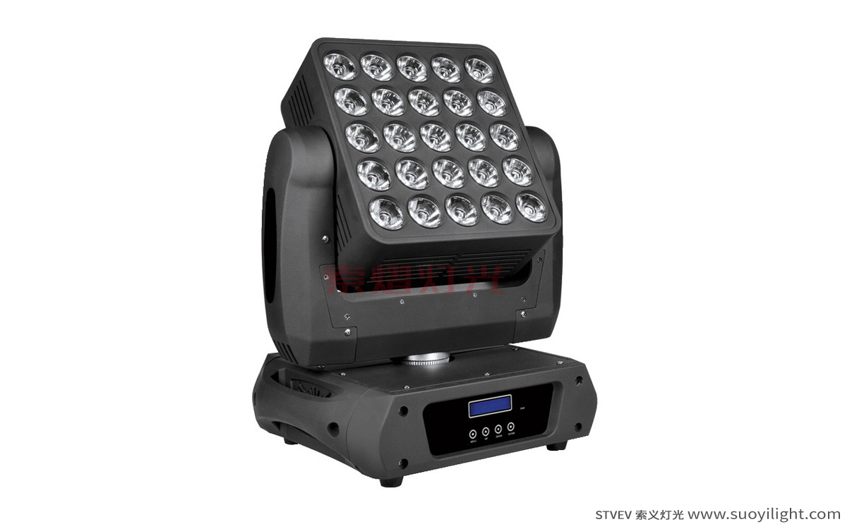 The-Netherlands25pcs Matrix LED Light