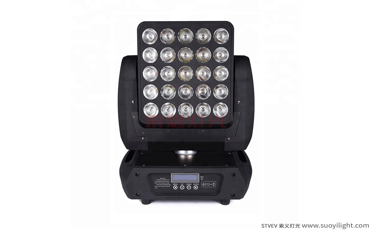 The-Netherlands25pcs Matrix LED Light