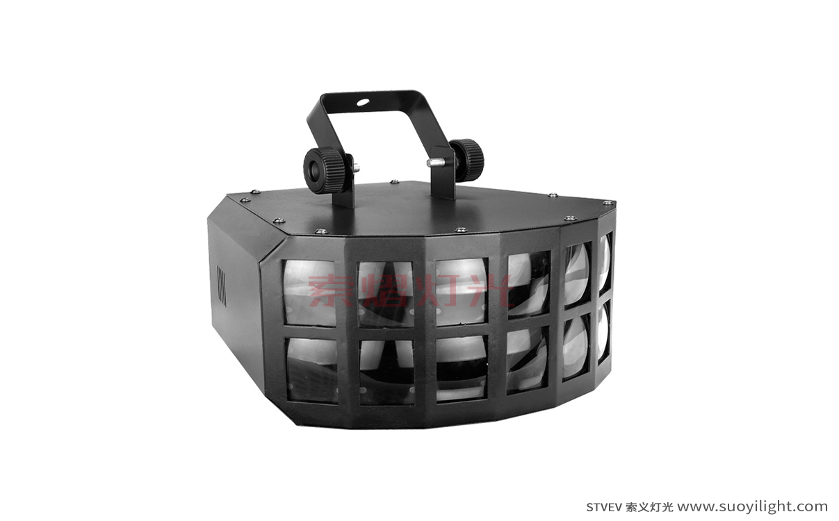 The-NetherlandsLED Double Butterfly Light