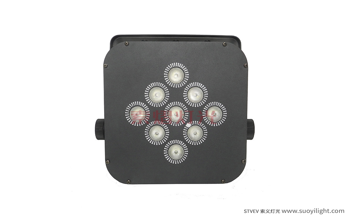 The-Netherlands9*12W LED Wireless Battery Par Light