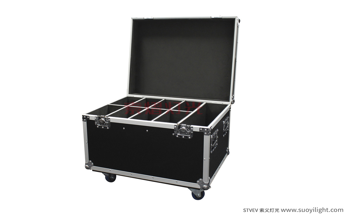 The-Netherlands8in1 Par Light Flight Case