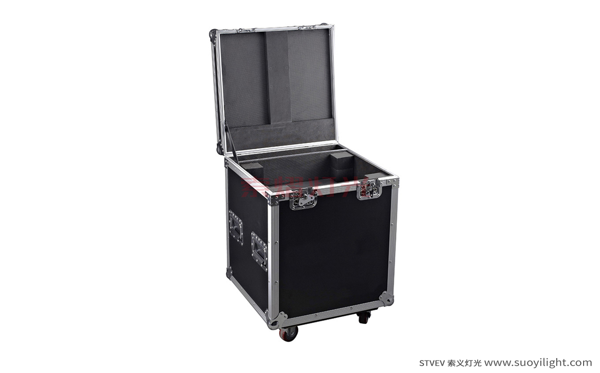 The-NetherlandsBeam Light Flight Case