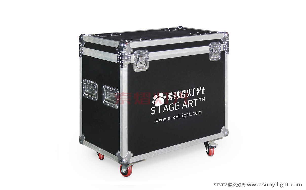 The-NetherlandsBeam Light Flight Case