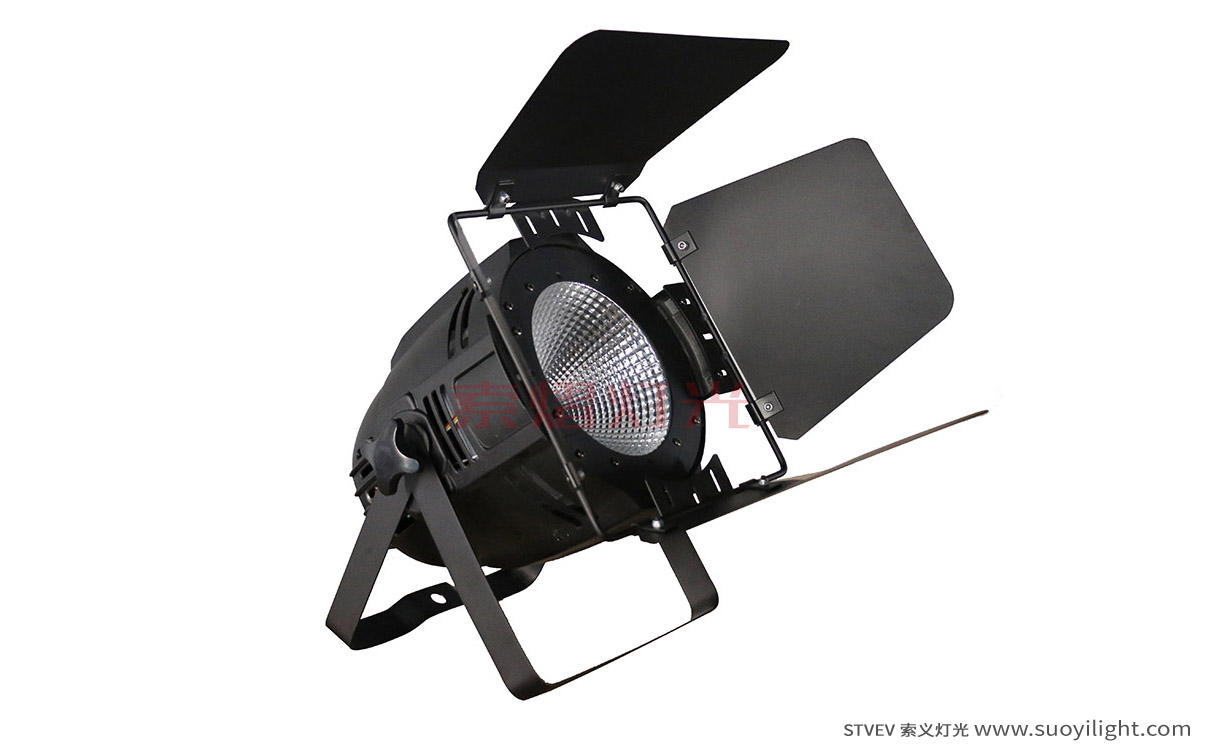 The-Netherlands100W LED COB Par Light