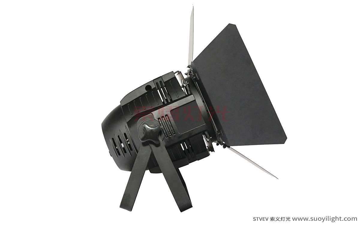 The-Netherlands100W LED COB Par Light