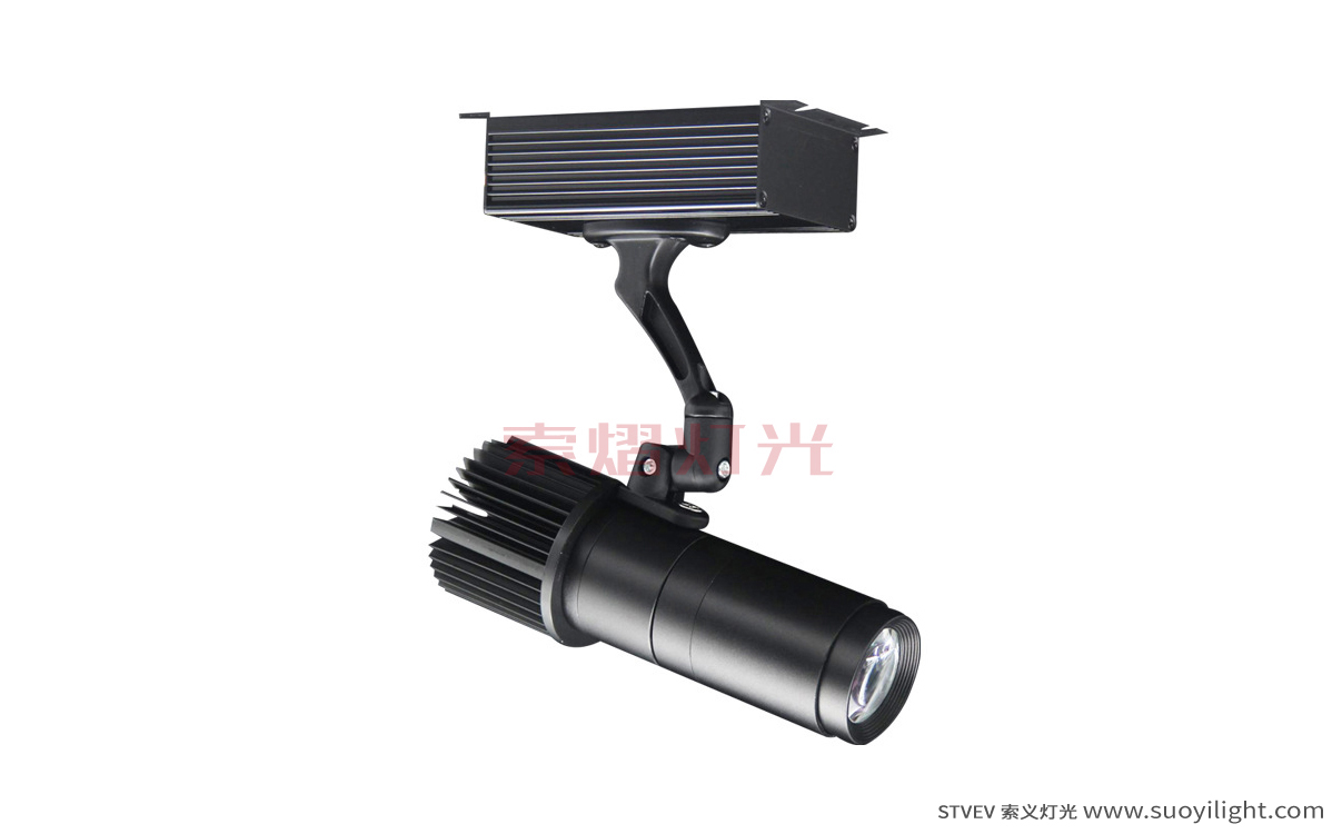 The-Netherlands10W,20W logo Projection Advertising Light