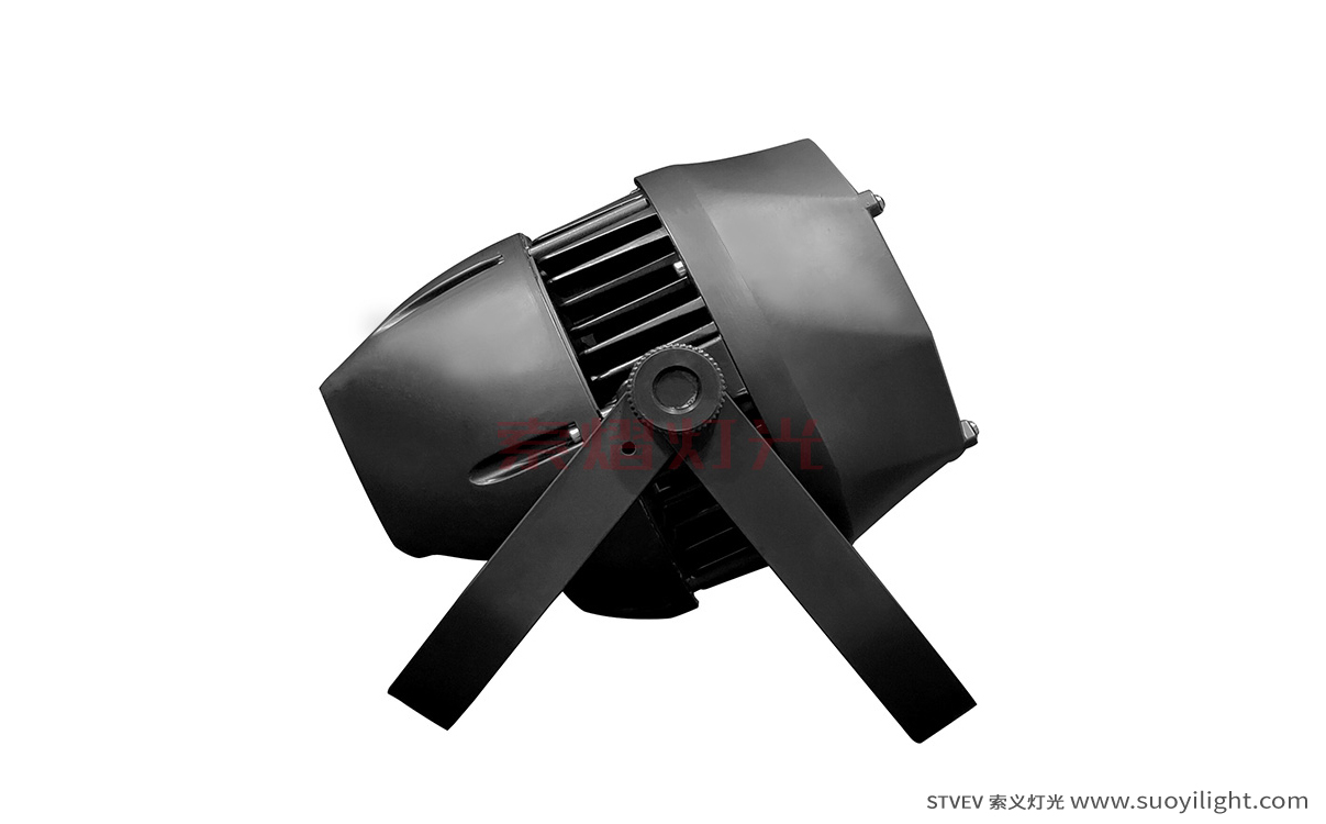 The-Netherlands200W Waterproof COB Par Light