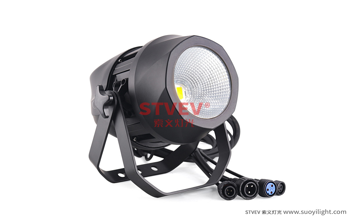 The-Netherlands200W Waterproof COB Par Light