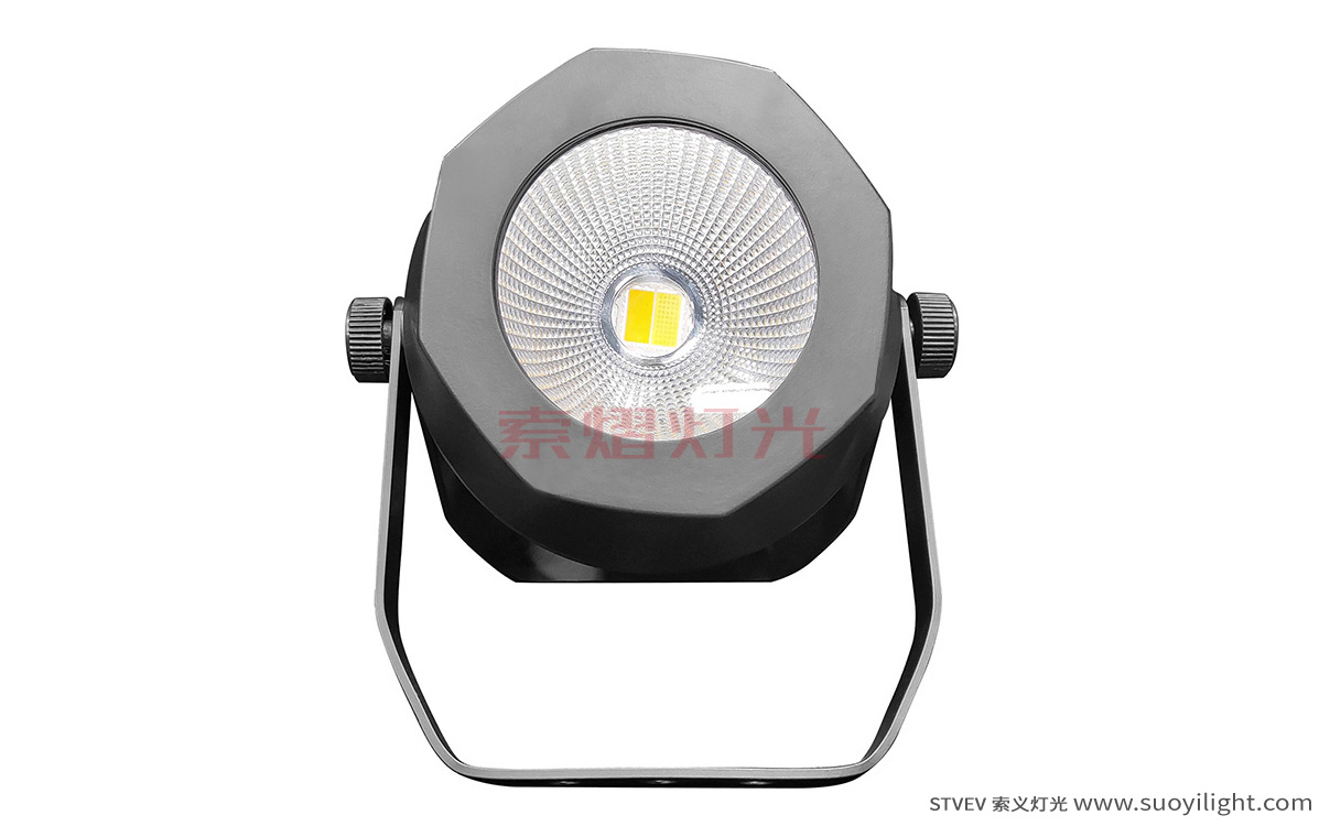 The-Netherlands200W Waterproof COB Par Light